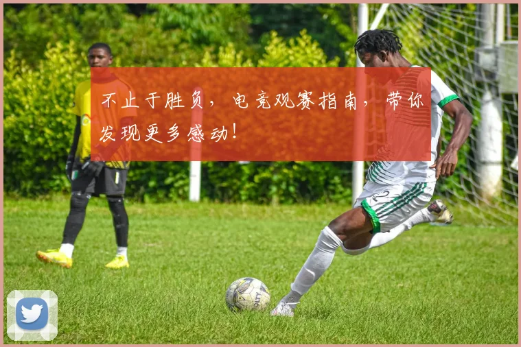 不止于胜负，电竞观赛指南，带你发现更多感动！