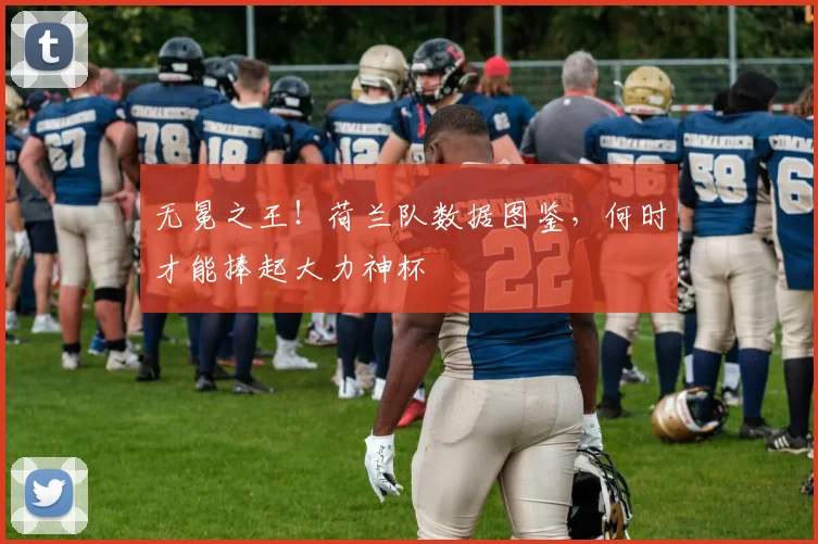 无冕之王！荷兰队数据图鉴，何时才能捧起大力神杯