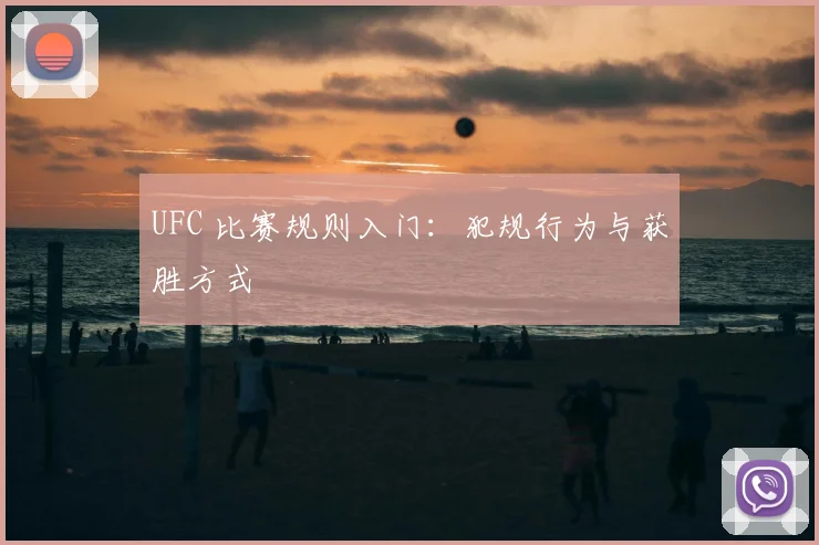 UFC 比赛规则入门：犯规行为与获胜方式