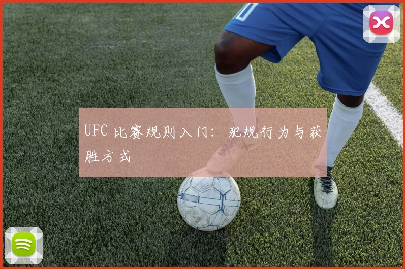 UFC 比赛规则入门：犯规行为与获胜方式
